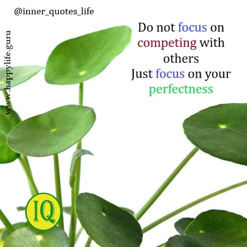 focus-on-your-perfectness.