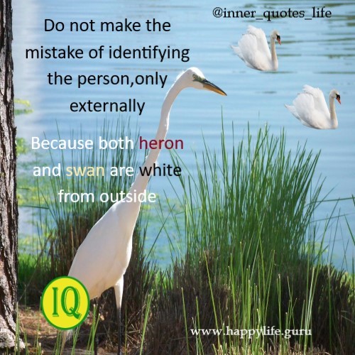  identify-people-quotes