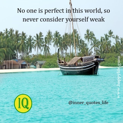nobody-is-perfect
