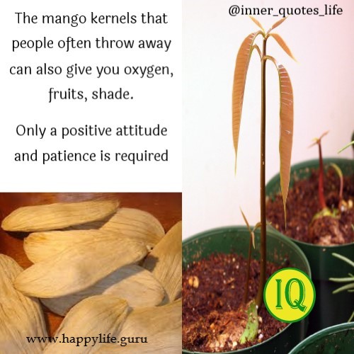 positive-attitude-quotes