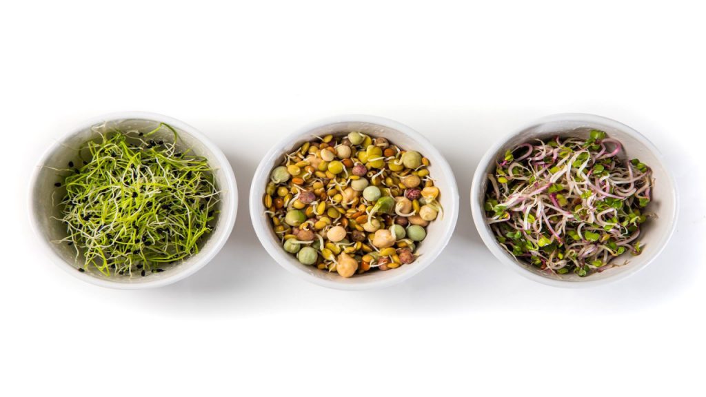 sprouts
