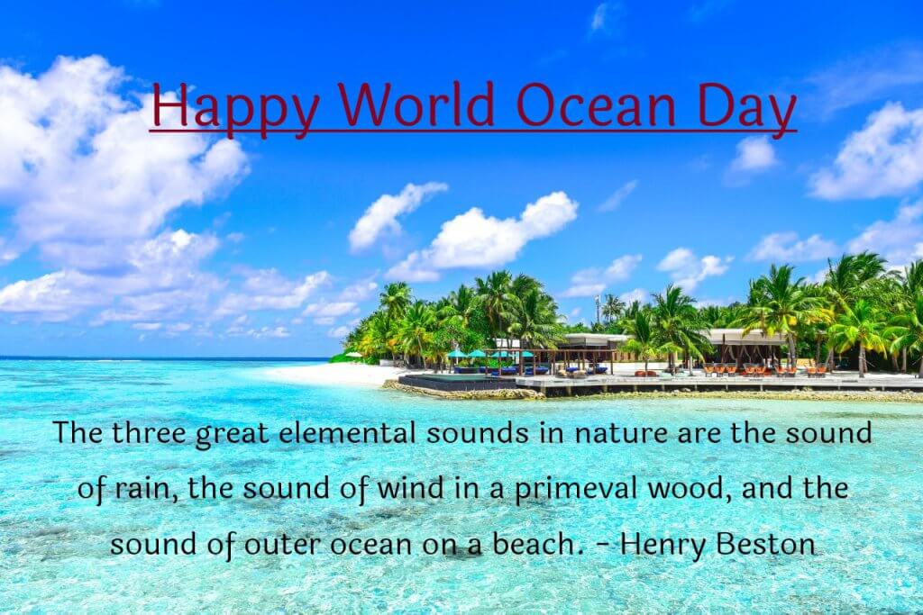  happy-world-ocean-day-quotes-in-english.j