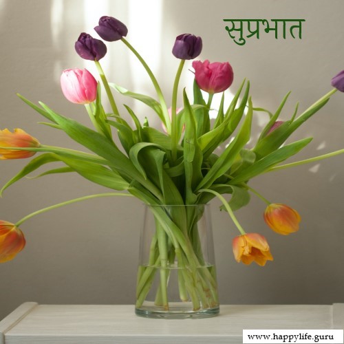  subhprabhat-quotes-with-flower-images