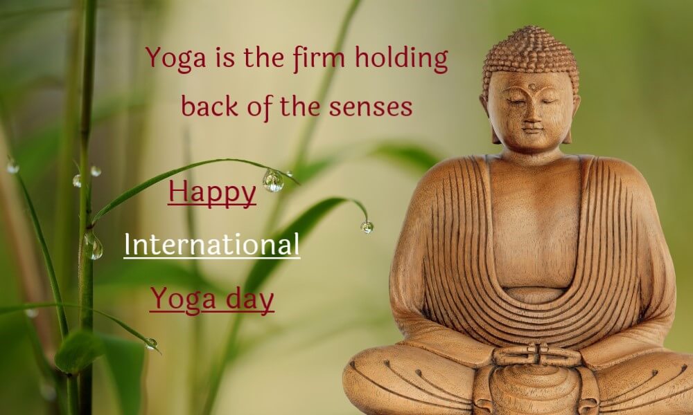 what-is-yoga-on-yoga-day