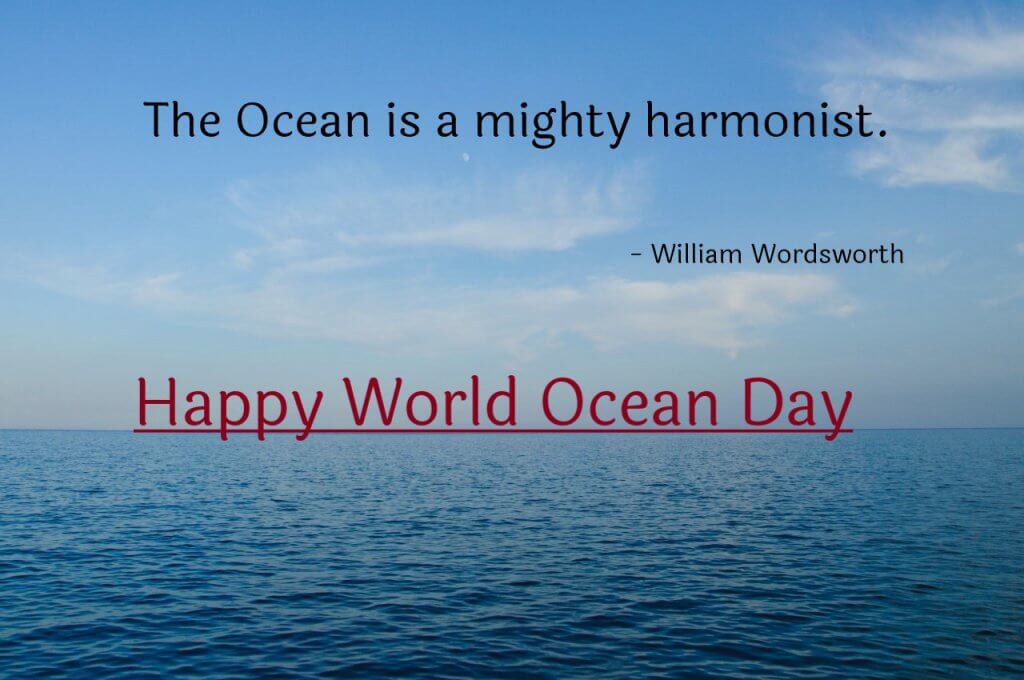world-ocean-day-thoughts