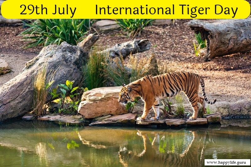  internation-tiger-day-in-english