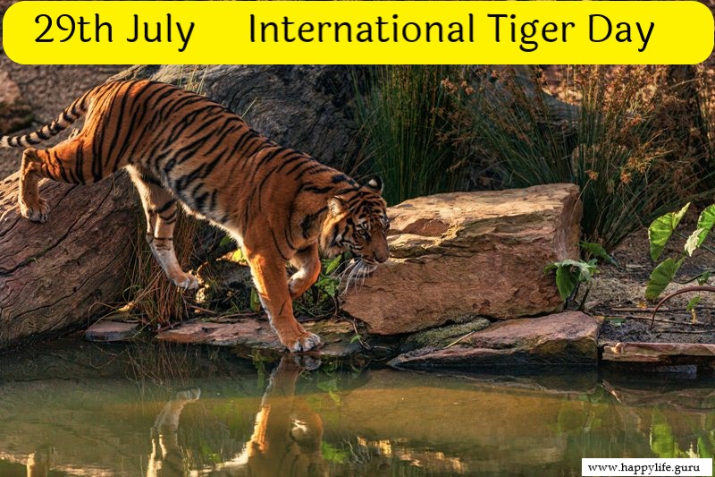  international-tiger-day-quotes.