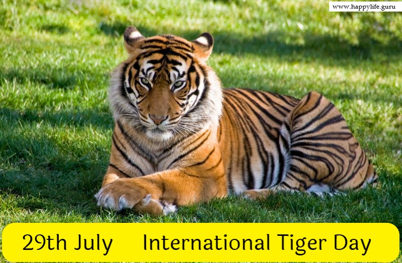  international-tiger-day-whatsapp-status