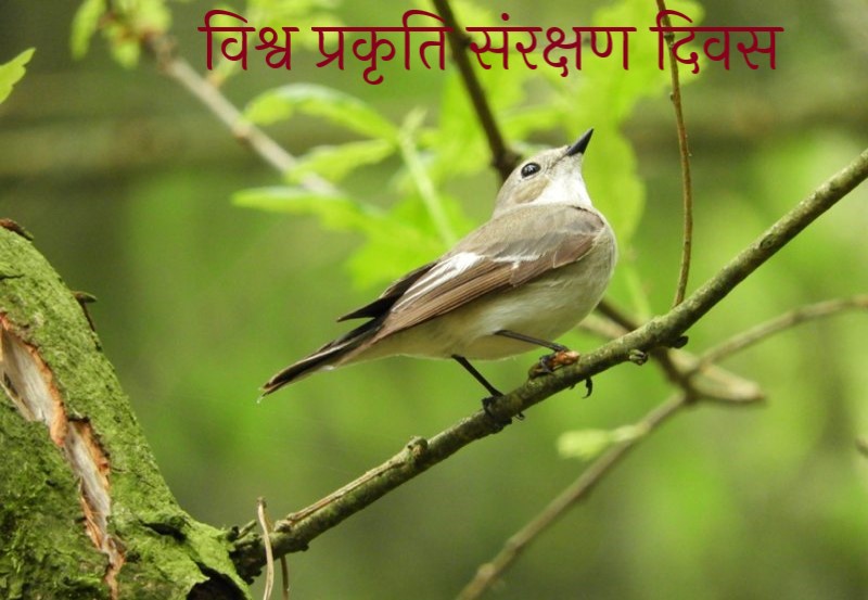  world-nature-conservation-day-image